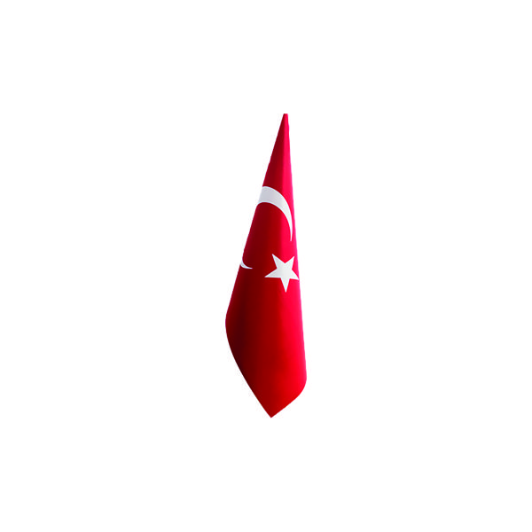 TU╠êRK DI╠çREKSI╠çZ