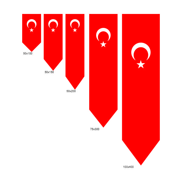 TU╠êRK FLAMA KILIC╠ğ